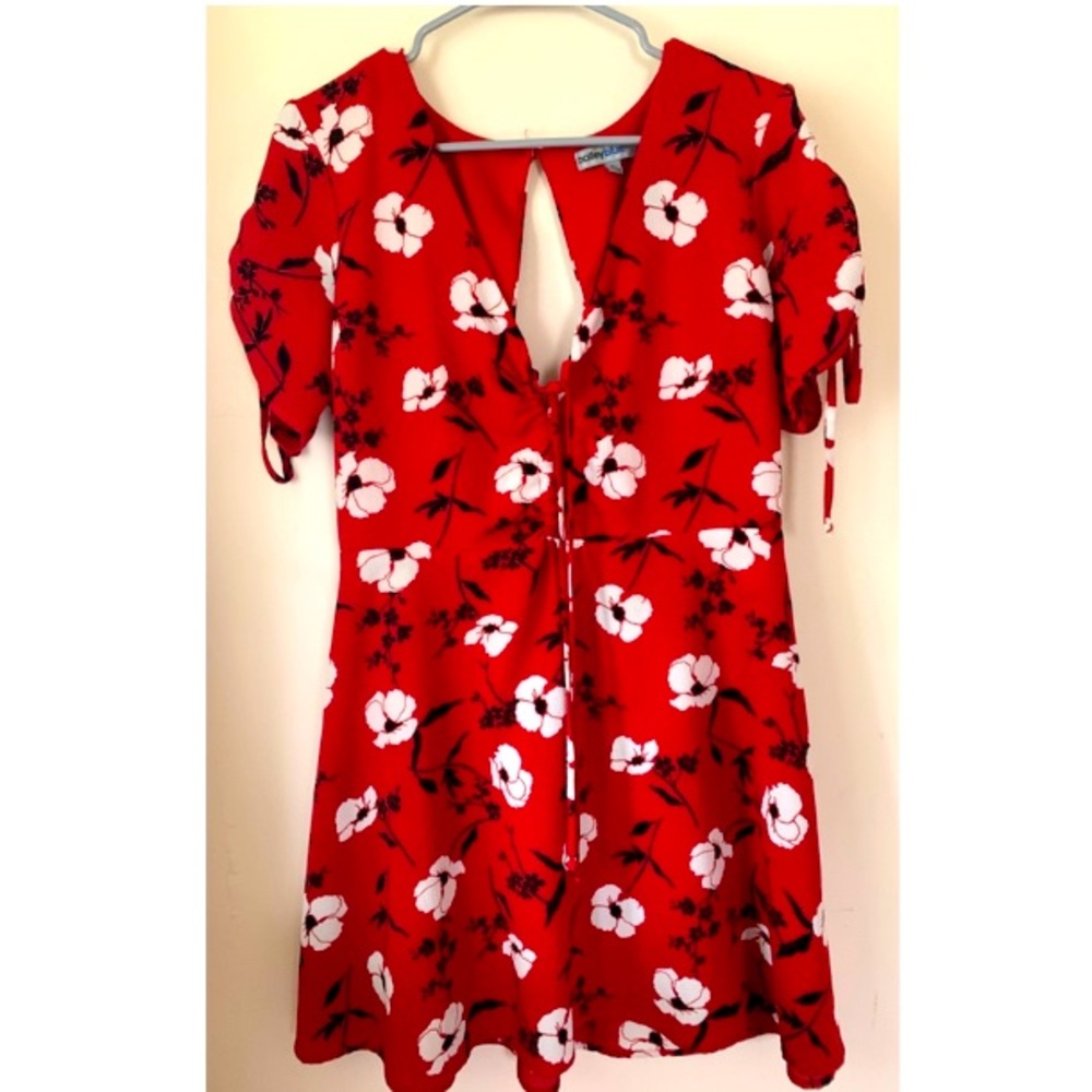 Francesca’s X Bailey Blue / Red Floral Mini Dress